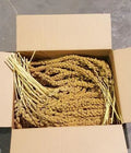 Zoo-Max Millet en Grappes 5lbs / 2.26kg