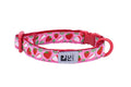 RC Pets Collier Sécuritaire Pour Chats Fraises Taille Unique