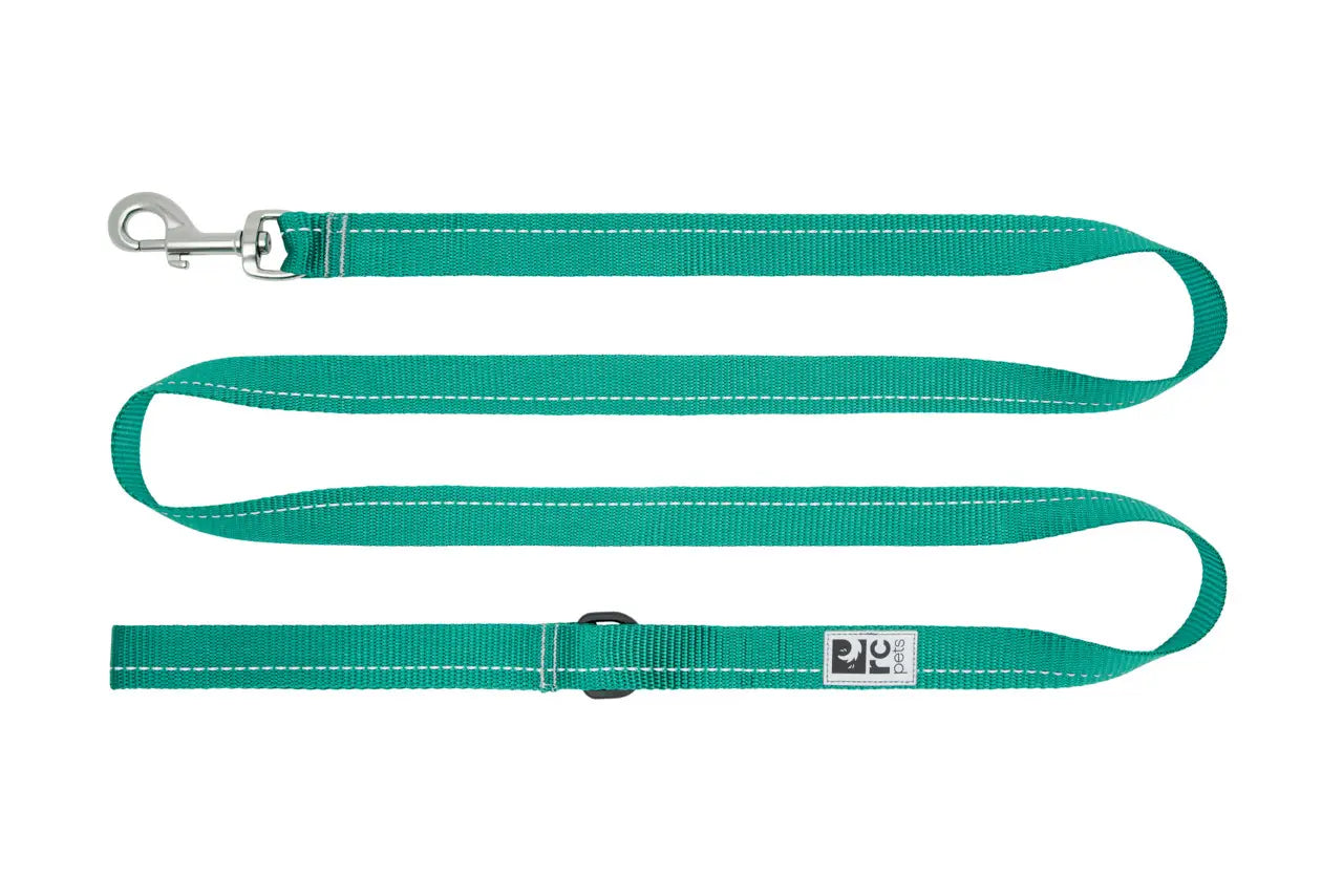 RC Pets Laisse De Base Perruche 1x6