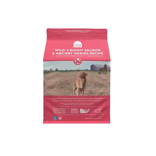 Open Farm Grains Anciens Saumon Sauvage pour Chien 22lbs / 10kg