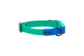RC Pets Collier Imperméable Perruche/Saphir G