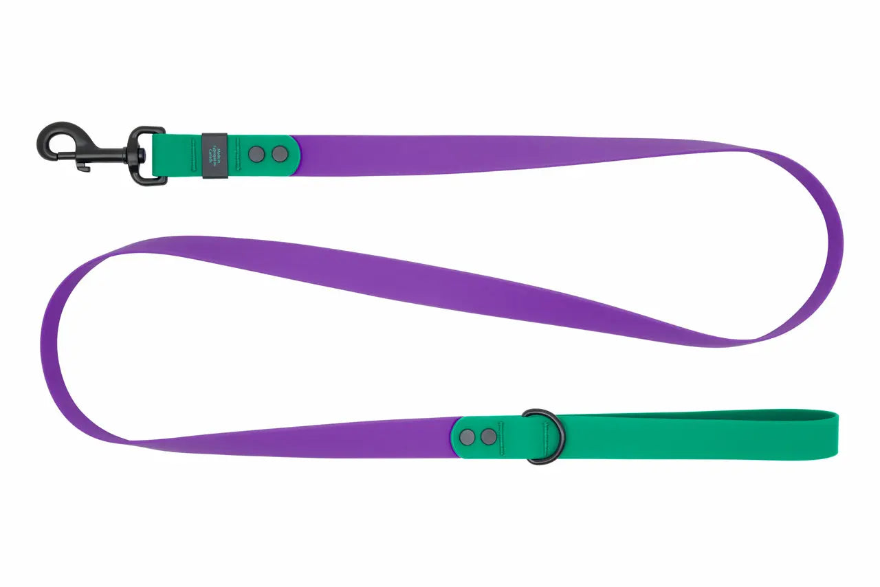 RC Pets Laisse Imperméable Mauve/Perruche 3/4x5