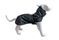 Le Chien Blanc Manteau d'Hiver Orion S