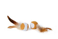 Bud'z Jouet Pour Chat Balle Avec Plumes 9cm
