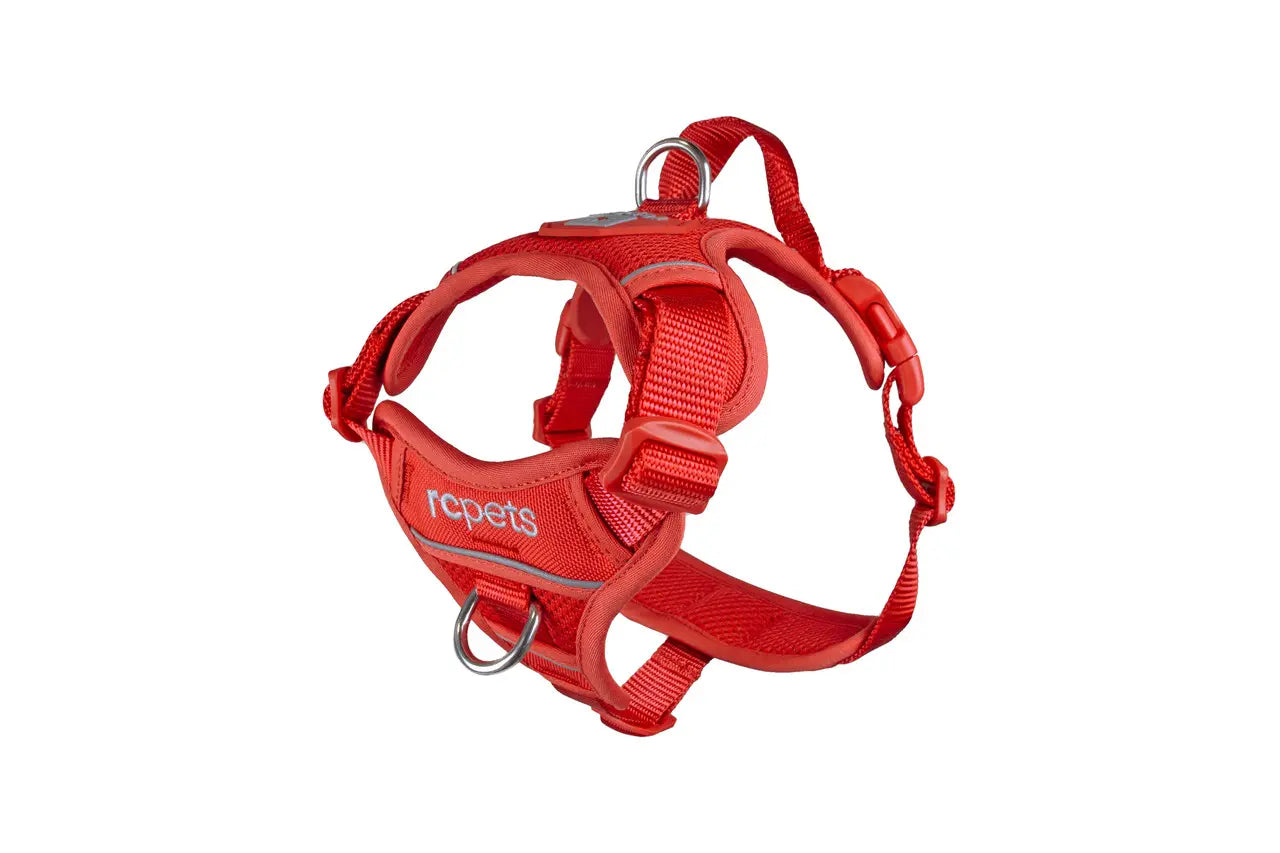 RC Pets Harnais de Contrôle Momentum Baie De Goji M