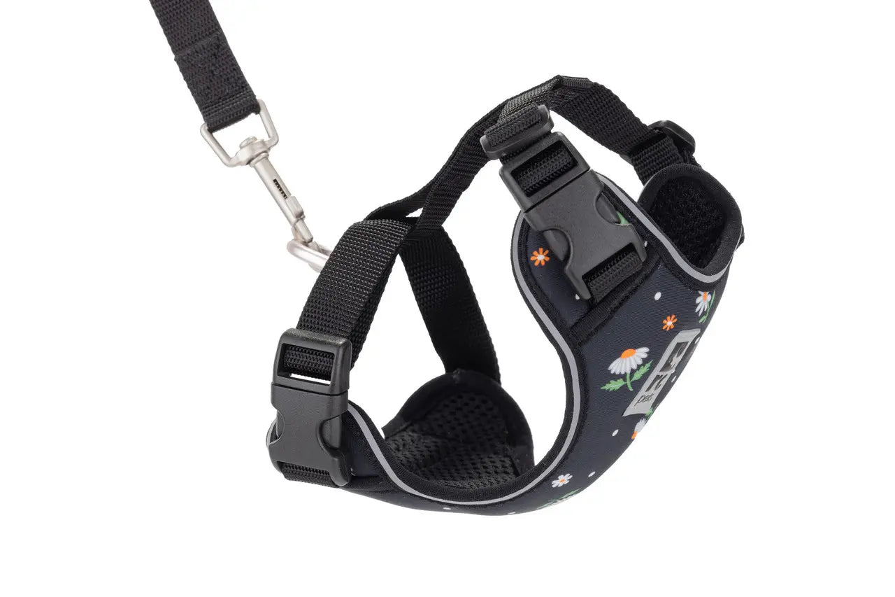RC Pets Harnais Aventure Pour Chats Marguerites P