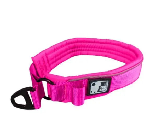 Le Chien Blanc Collier Martingale Paddé Rose L