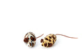Bud'z Jouet Pour Chat Souris Blanche Et Beige (Couleur Assortie)