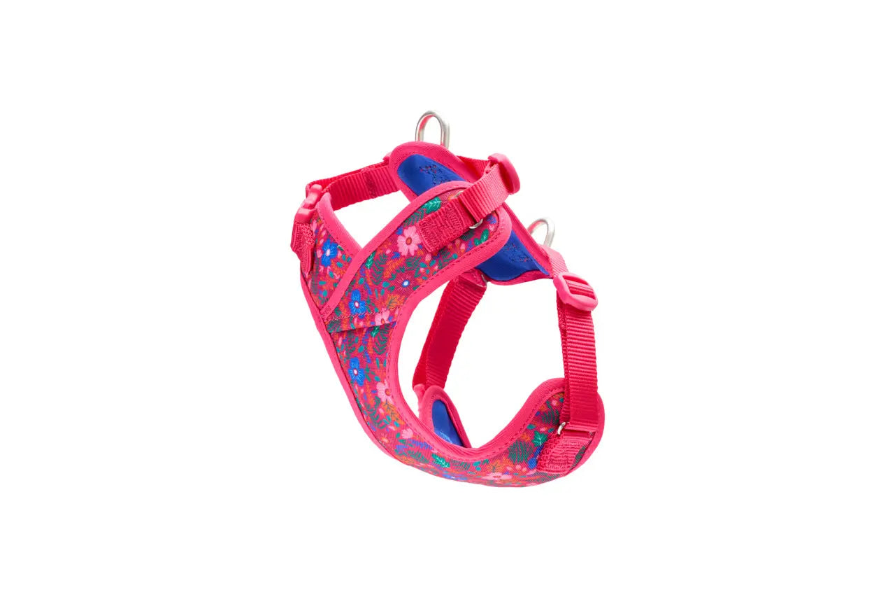 RC Pets Petite Harnais Explorateur PP Frida