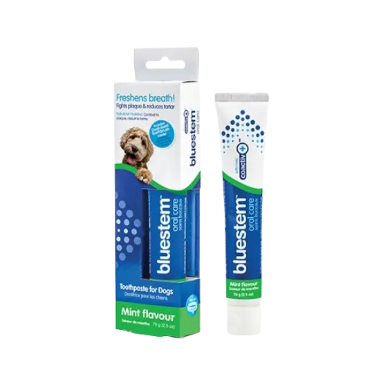 Bluestem Dentifrice à Saveur de Menthe Vanillée Pour Chien 70g