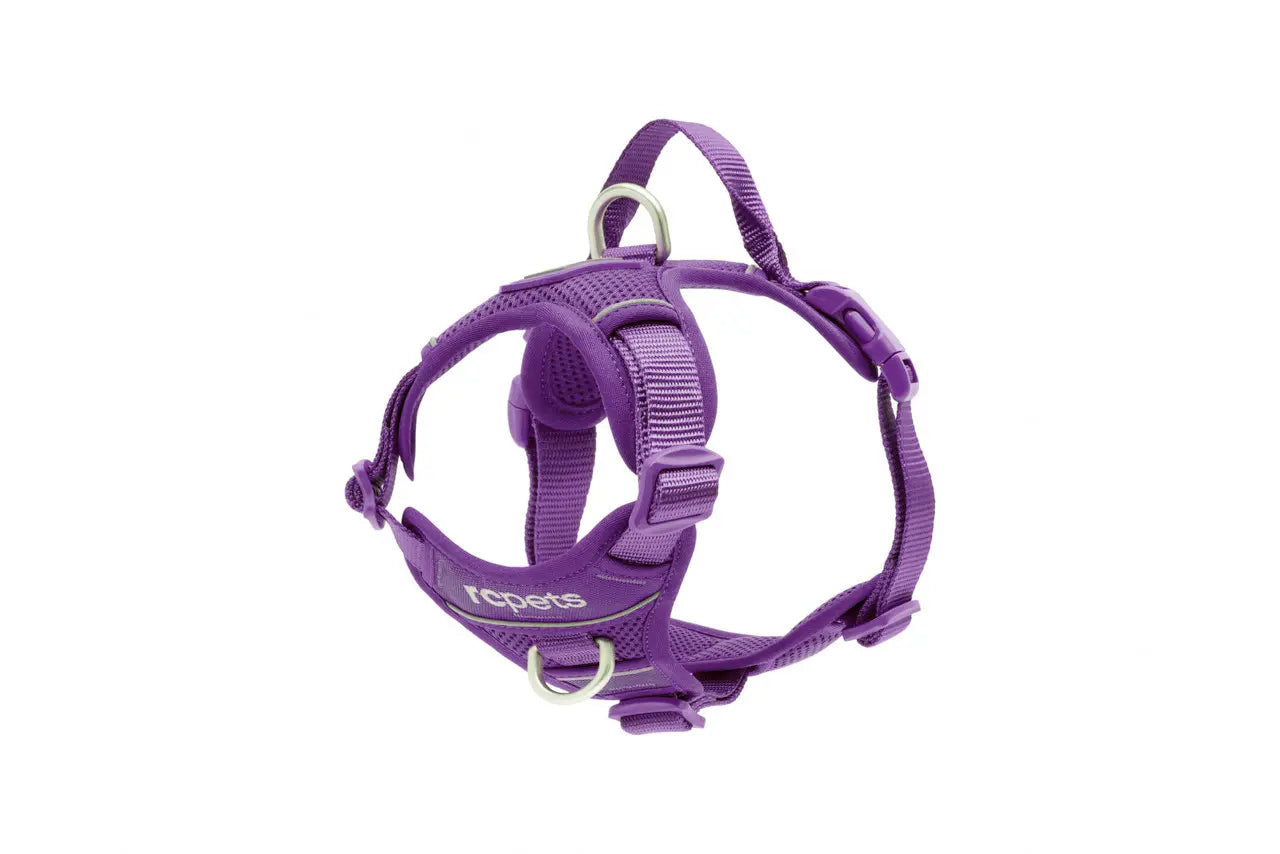 RC Pets Harnais de Contrôle Momentum Mauve G