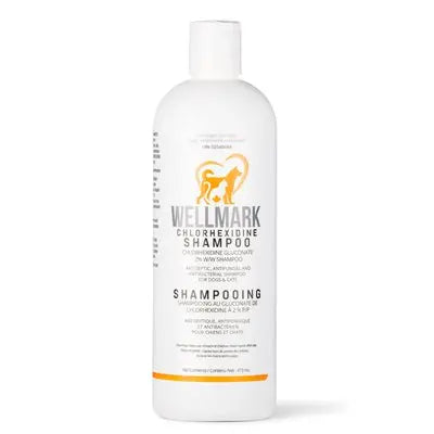 Wellmark Shampoing à la Chlorhexidine 473ml