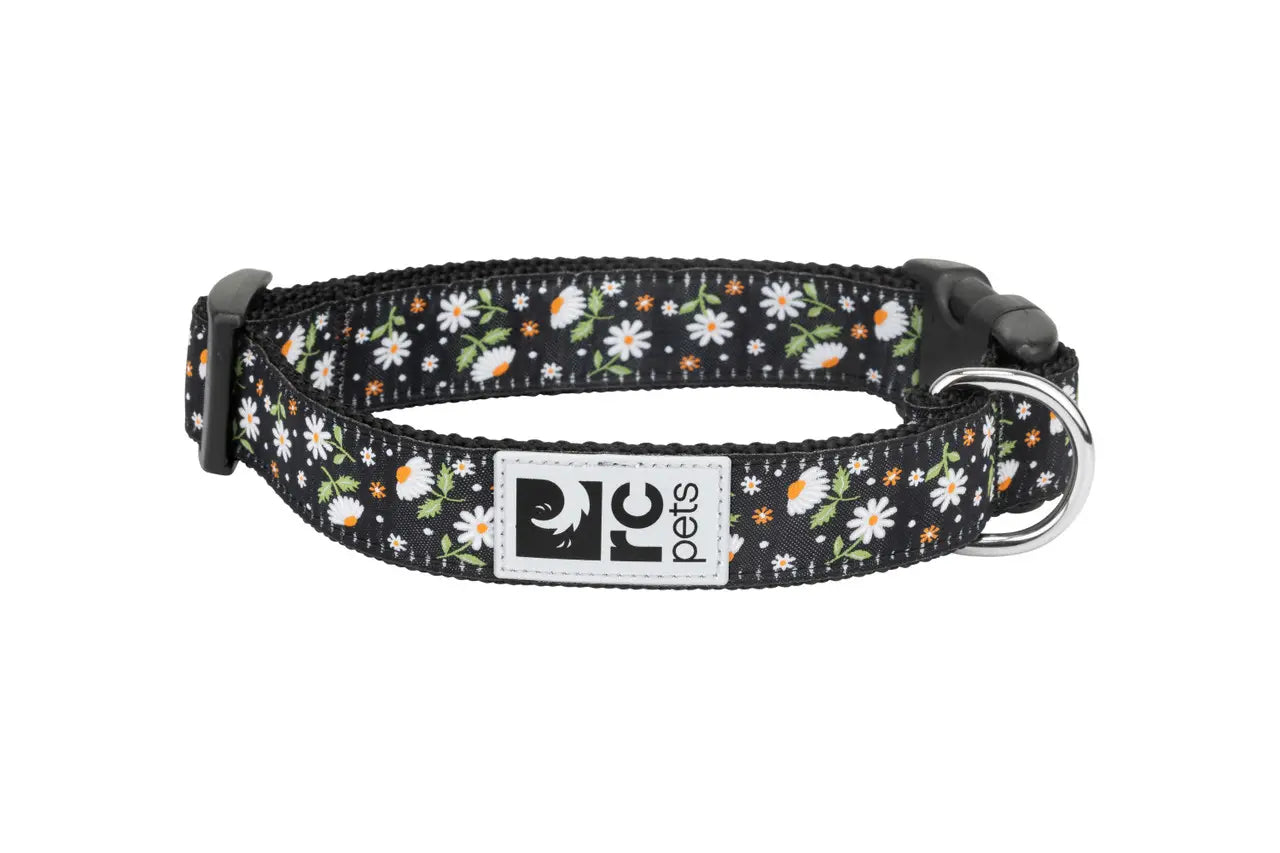 RC Pets Collier à Motifs Marguerites P 3/4