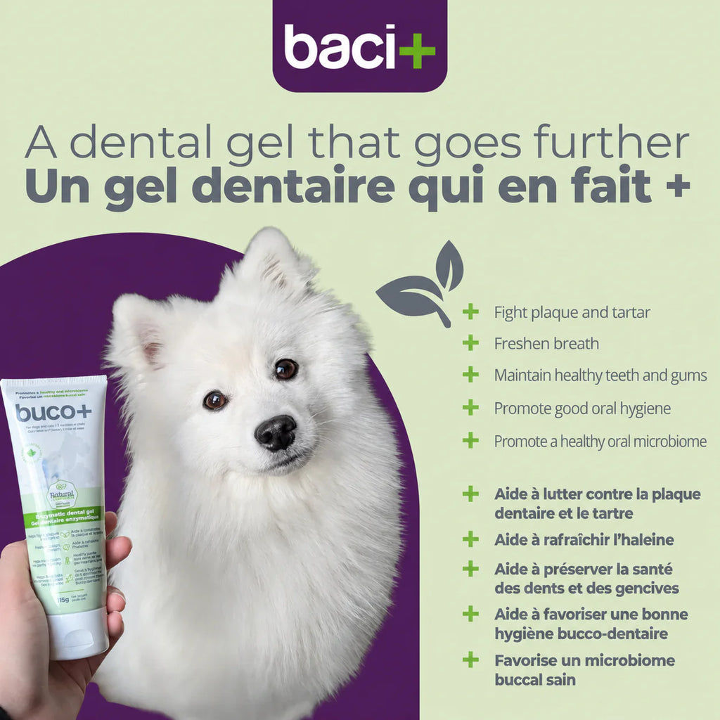 Baci+ Buco+ Gel Dentaire 115g