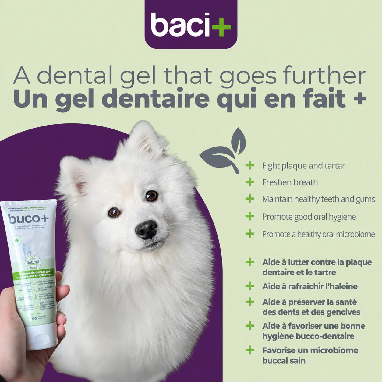 Baci+ Buco+ Gel Dentaire 115g