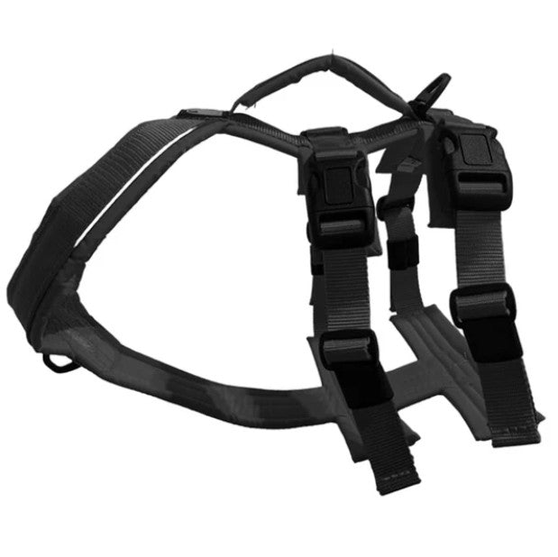 Le Chien Blanc Harnais Atlas Noir 2XL