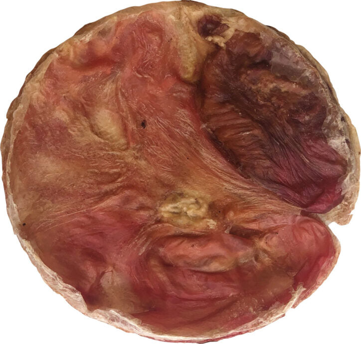 Open Range Furs-Bee Vessie de Boeuf 7"