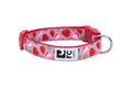 RC Pets Collier à Motif Fraises G