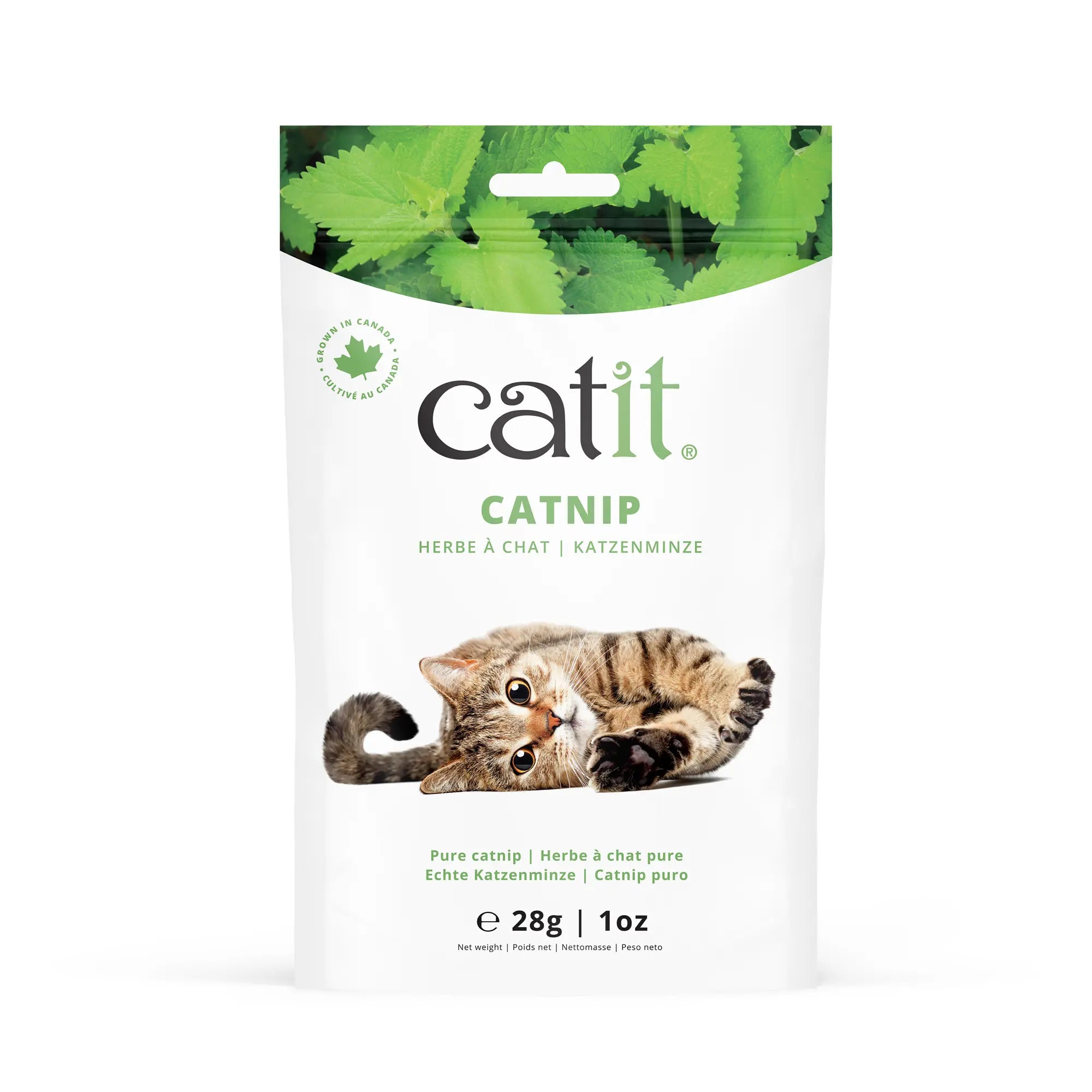 Catit Herbe à Chat 28g