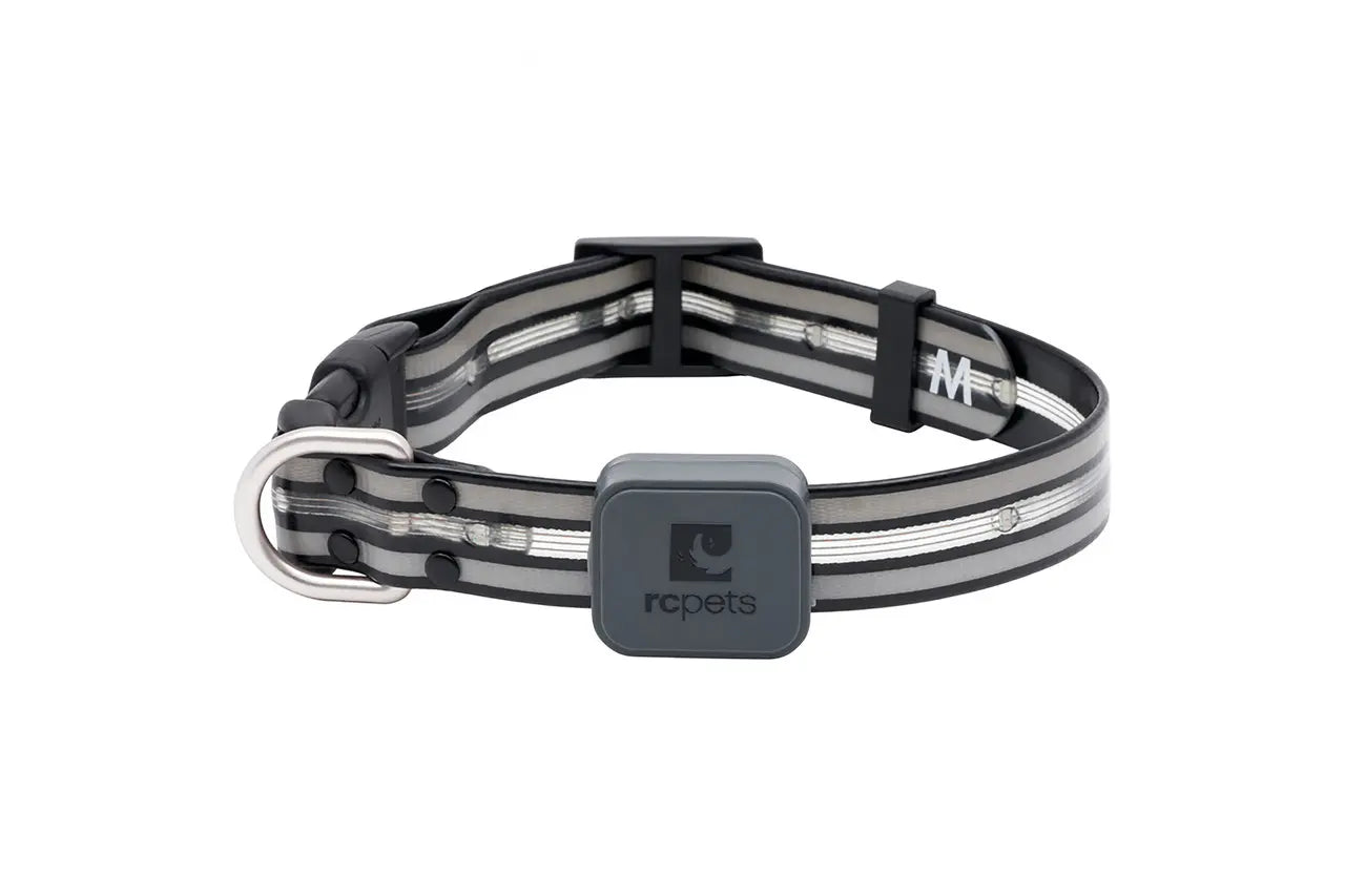 RC Pets Nova DEL Collier Lumineux G 15-25'' Noir