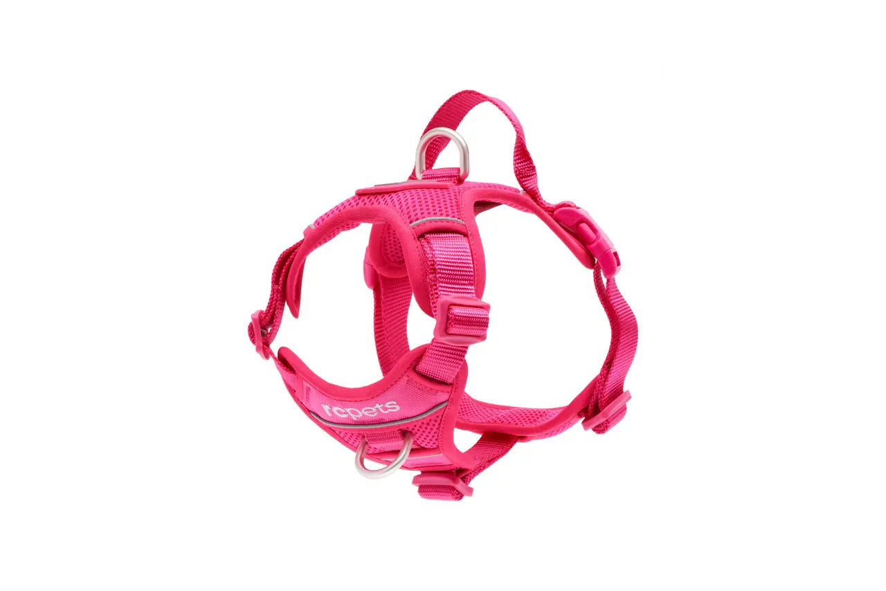 RC Pets Harnais de Contrôle Momentum Azalée M