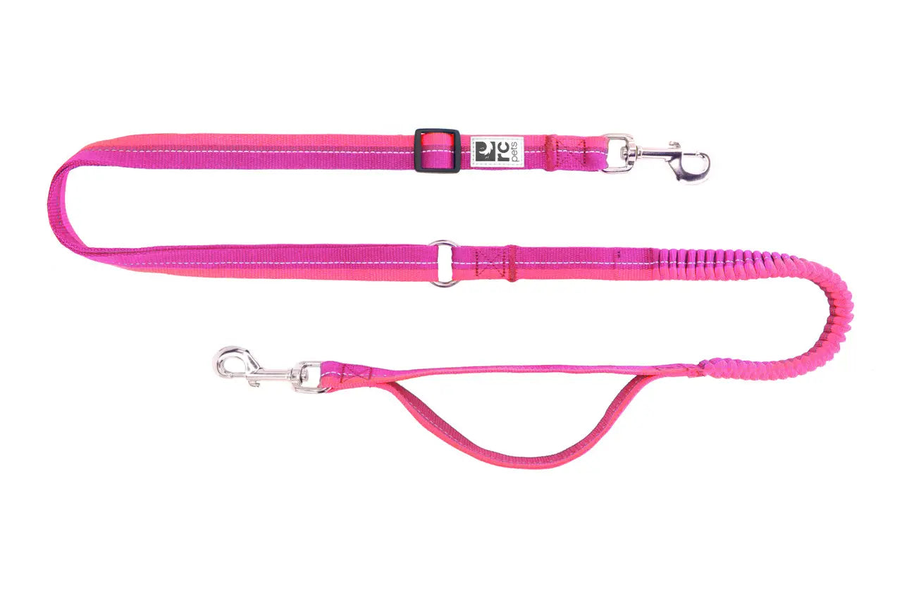 RC Pets Laisse Élastique Active Mûre/Azalée