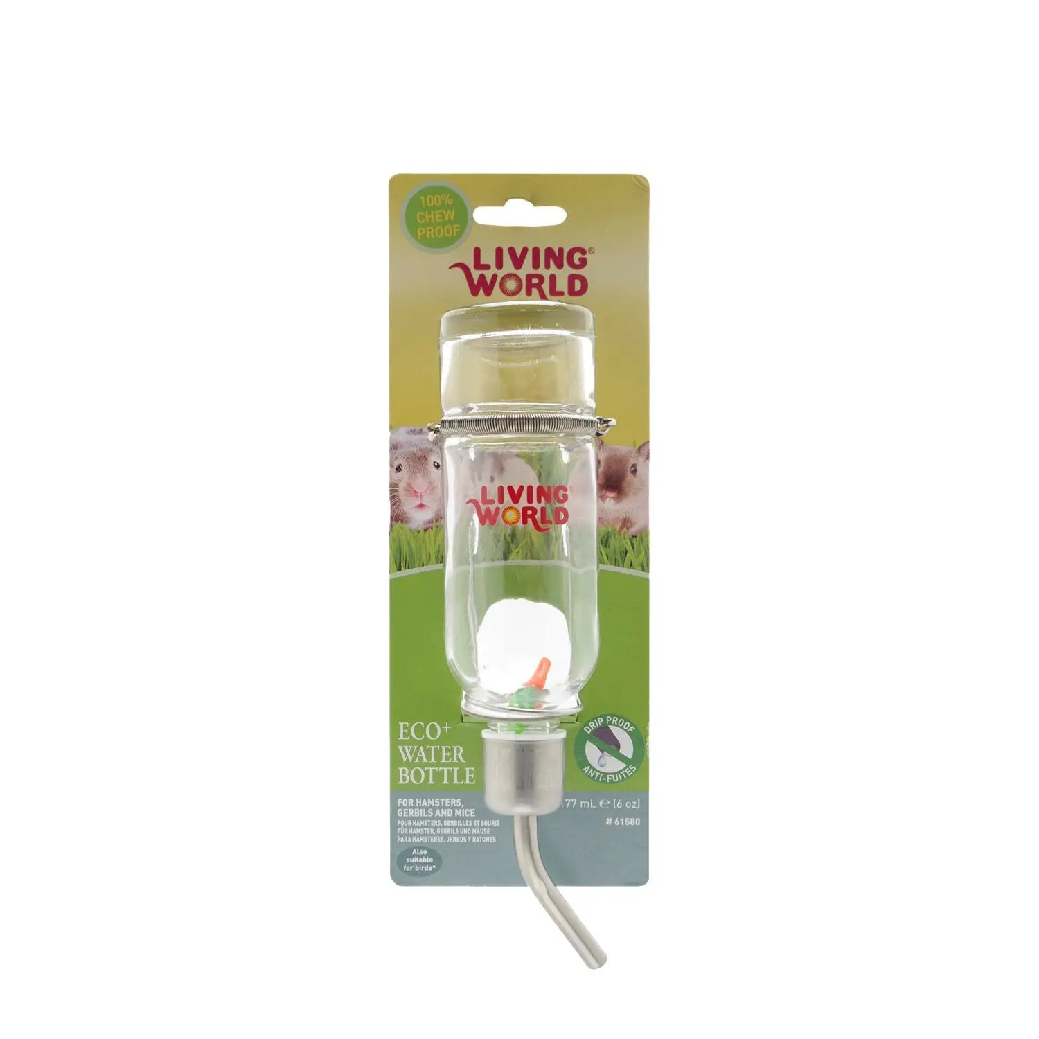 Living World Bouteille à Eau en Verre Petite 177ml