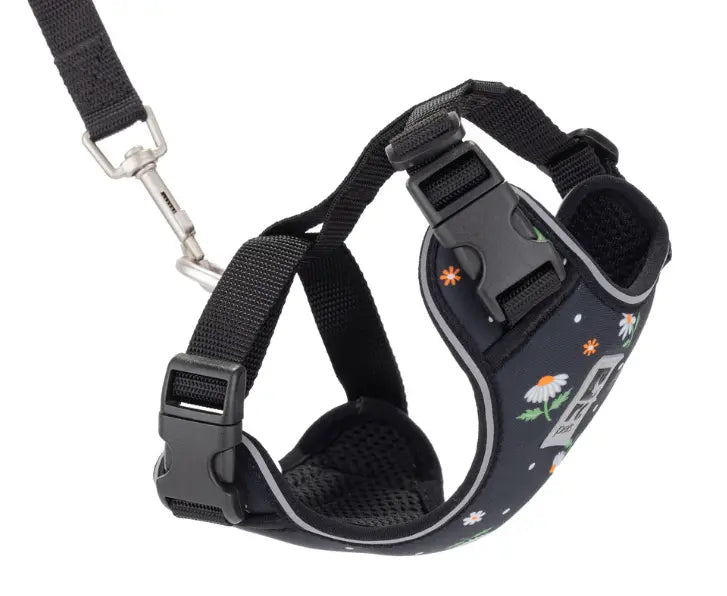 RC Pets Harnais Aventure Pour Chats Marguerites G