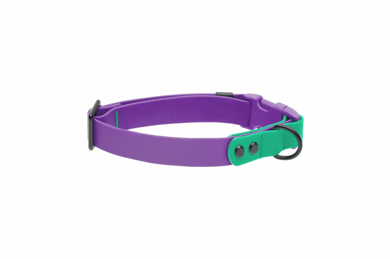 RC Pets Collier Imperméable Mauve/Perruche M