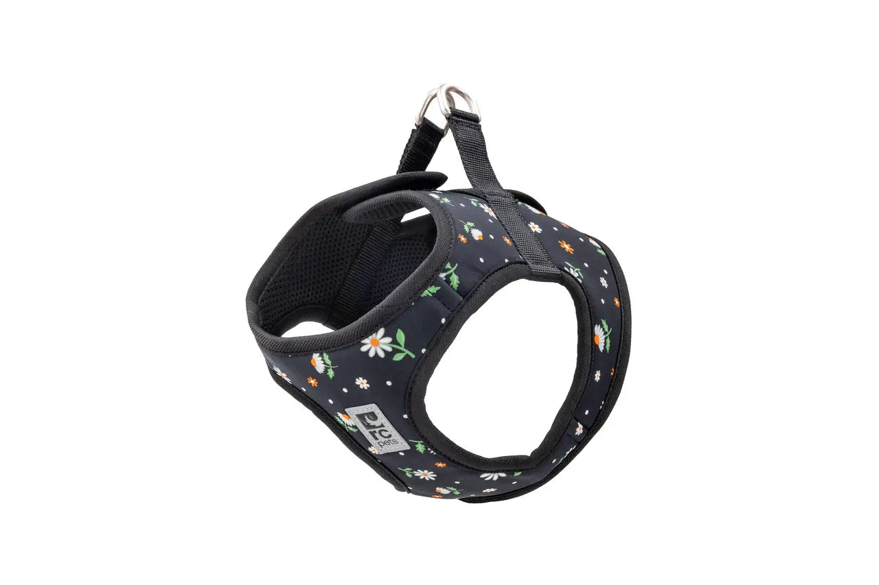 RC Pets Step en Cirque Marguerites M