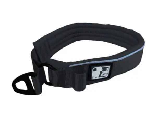 Le Chien Blanc Collier Martingale Paddé Noir L