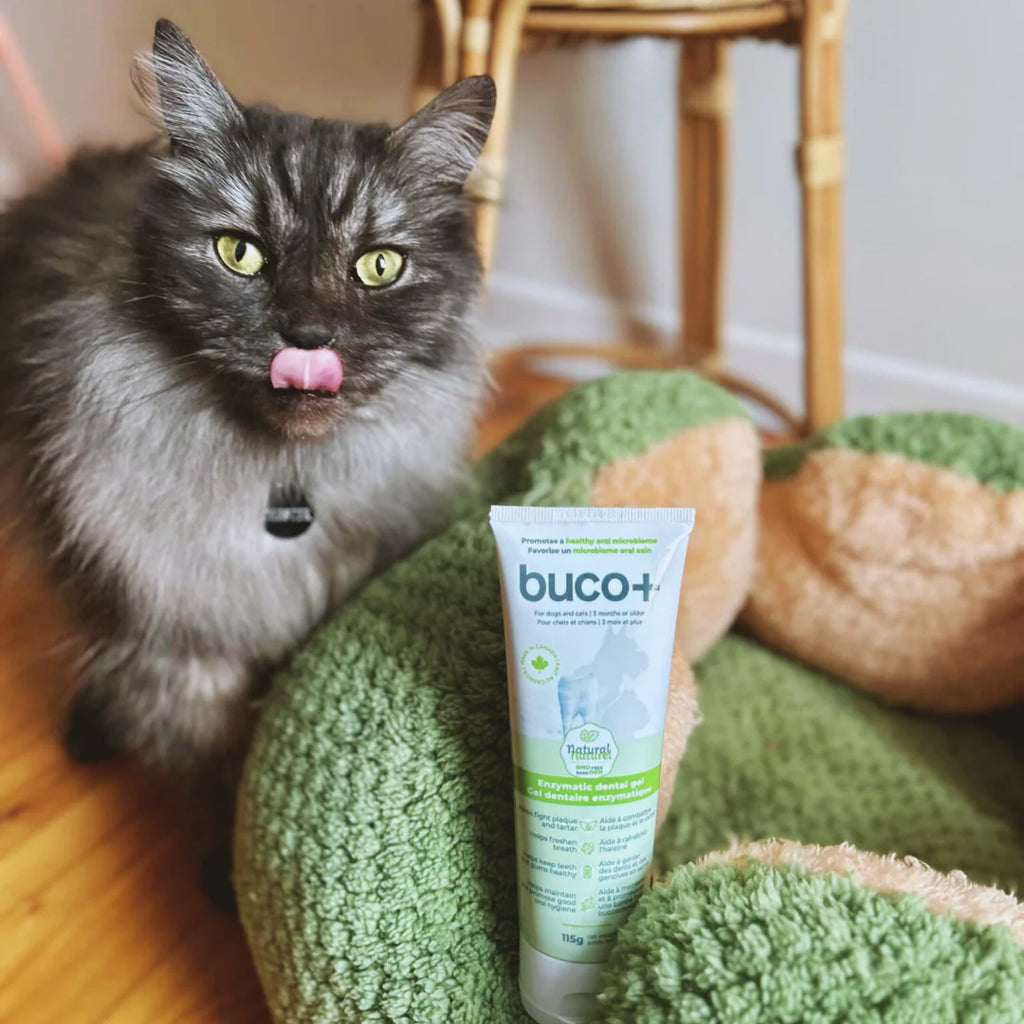Baci+ Buco+ Gel Dentaire 115g