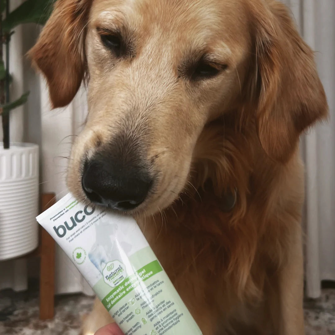 Baci+ Buco+ Gel Dentaire 115g